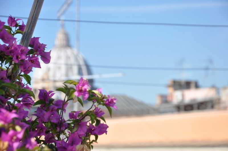 Le Suite Di Via Ottaviano - Suite In Rome B&B Zewnętrze zdjęcie